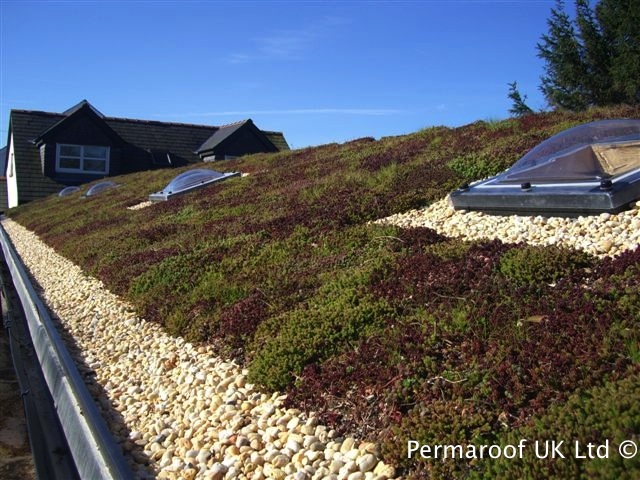 liquid rubber for green roofs liquid rubber for green roofs