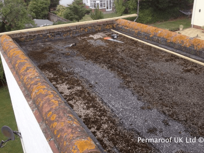 Flat Roof Before