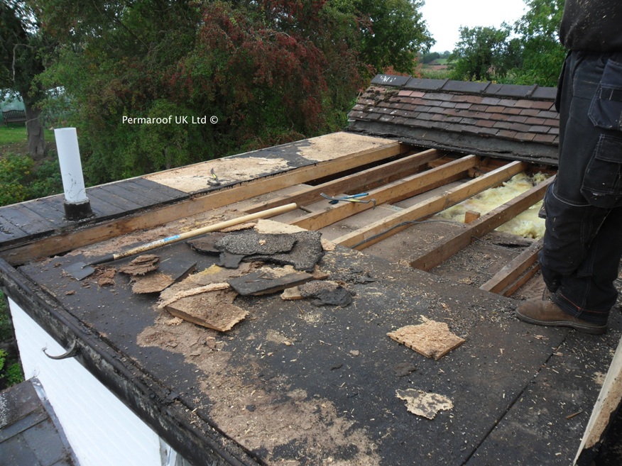 Flat Roof Before