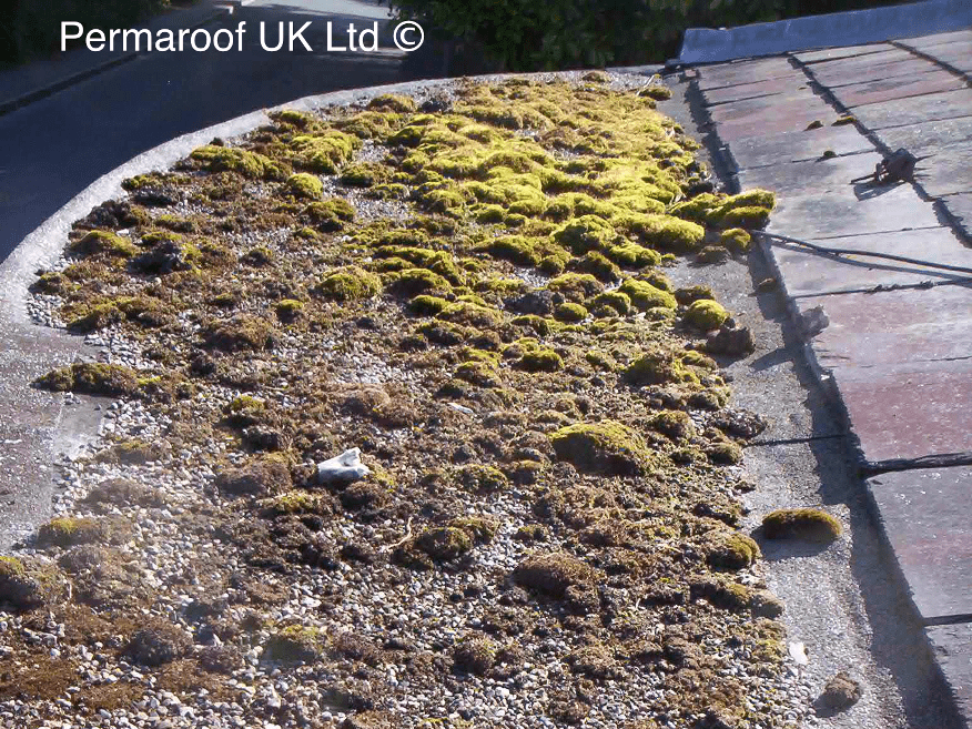 Flat Roof Before