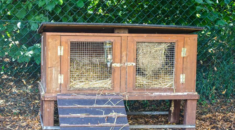 rabbit-hutch-roof_500